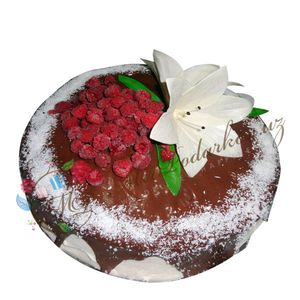 Cake “Raspberry Garden”